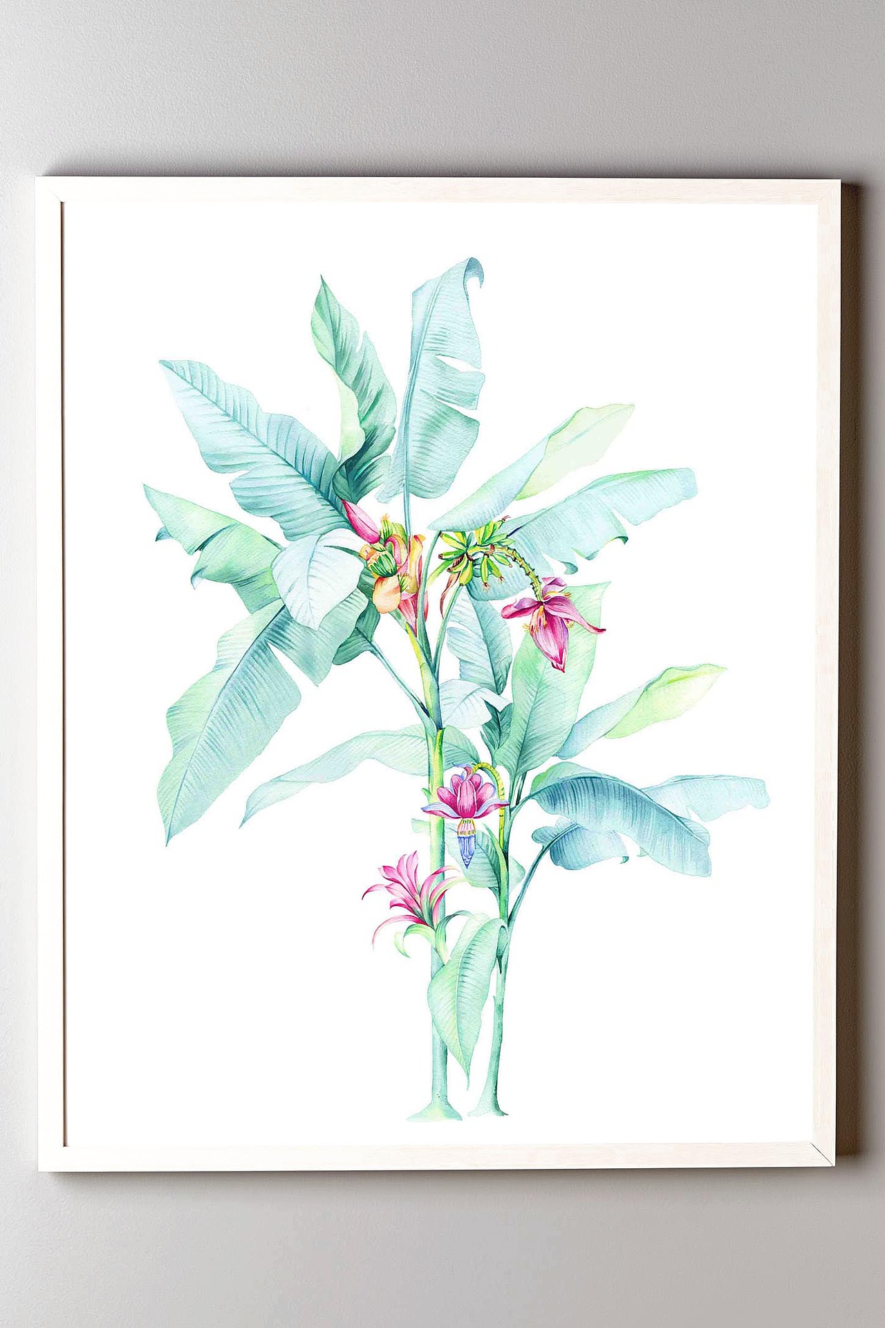 水彩 芭蕉叶 香蕉花|插画|创作习作|染九木lh - 原创作品 - 站酷