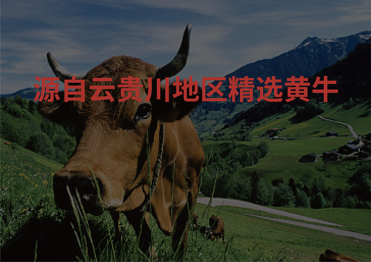 和记坊肥牛火锅VI设计