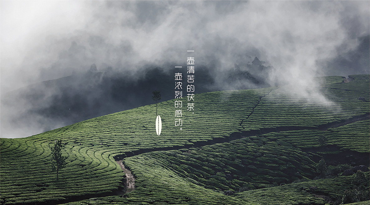 泾渭茯茶视觉形象设计（图ZMTQ2MjAzODYw） - Logo - 站酷设计师Yang_阳阳原创素材 - 站酷ZCOOL