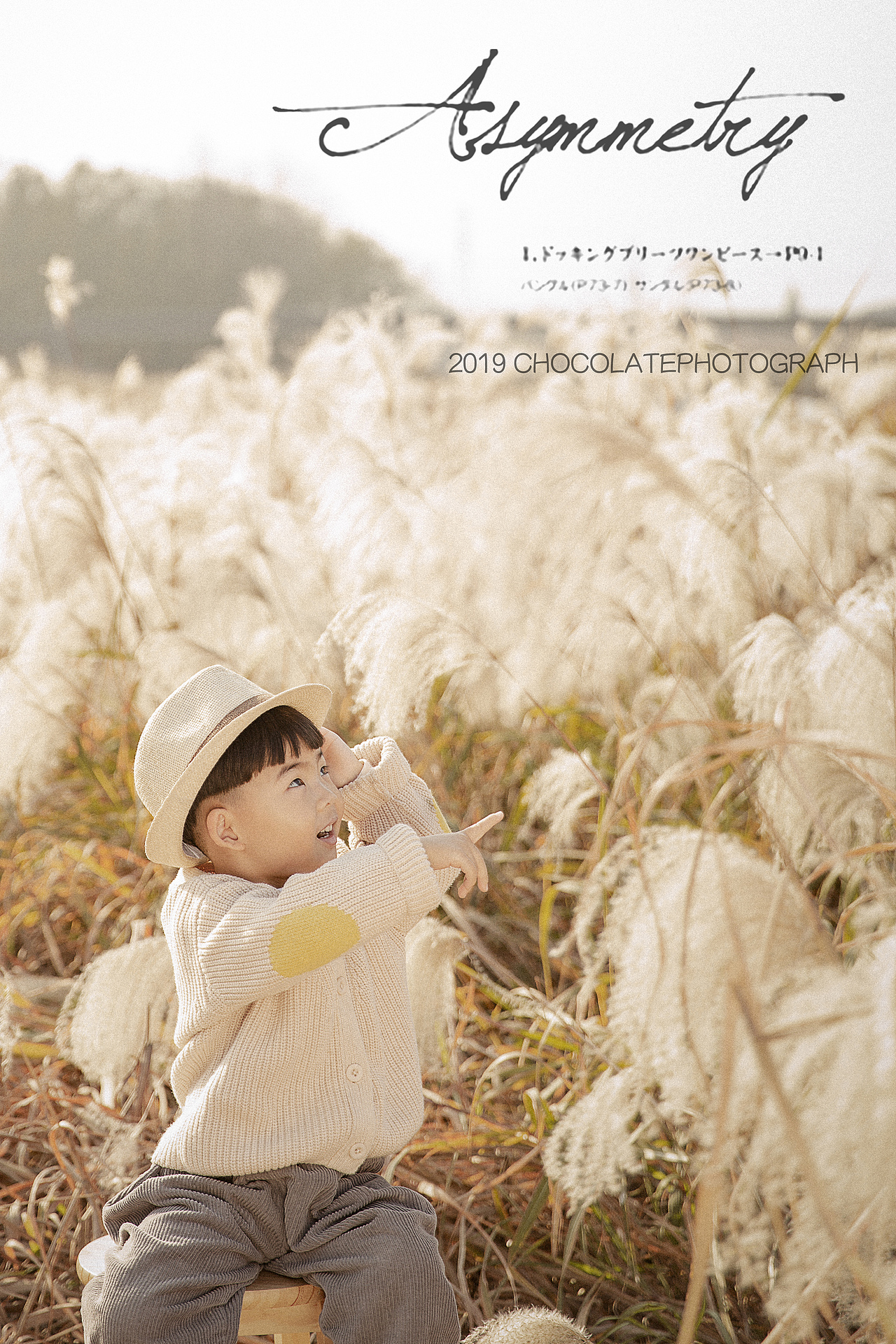 一组小朋友芦苇外景