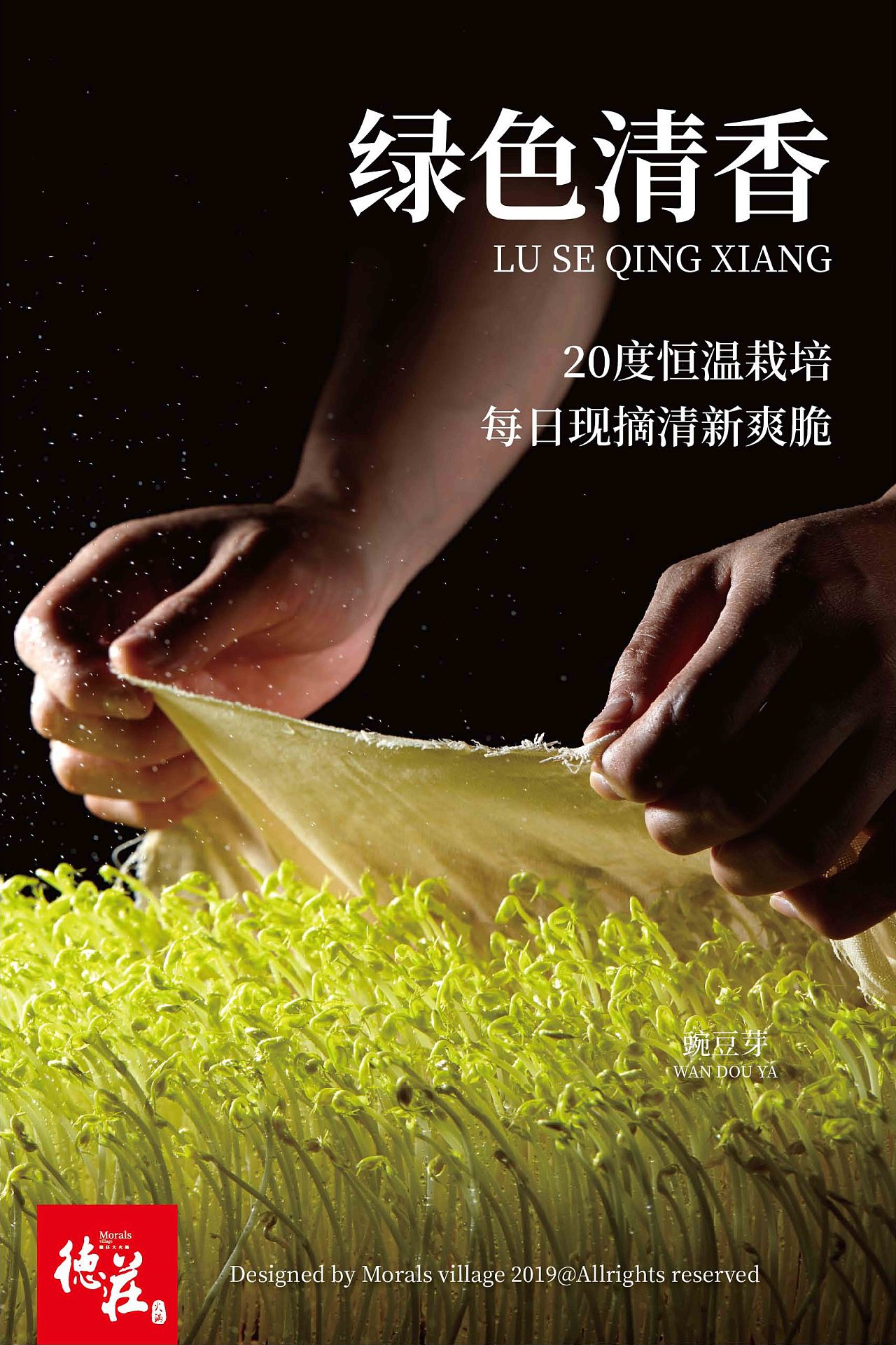 美食摄影 // 德庄火锅（图ZMjIzMzU5OTM2） - 产品摄影 - 站酷设计师蚂蚁动力美食视频原创素材 - 站酷ZCOOL