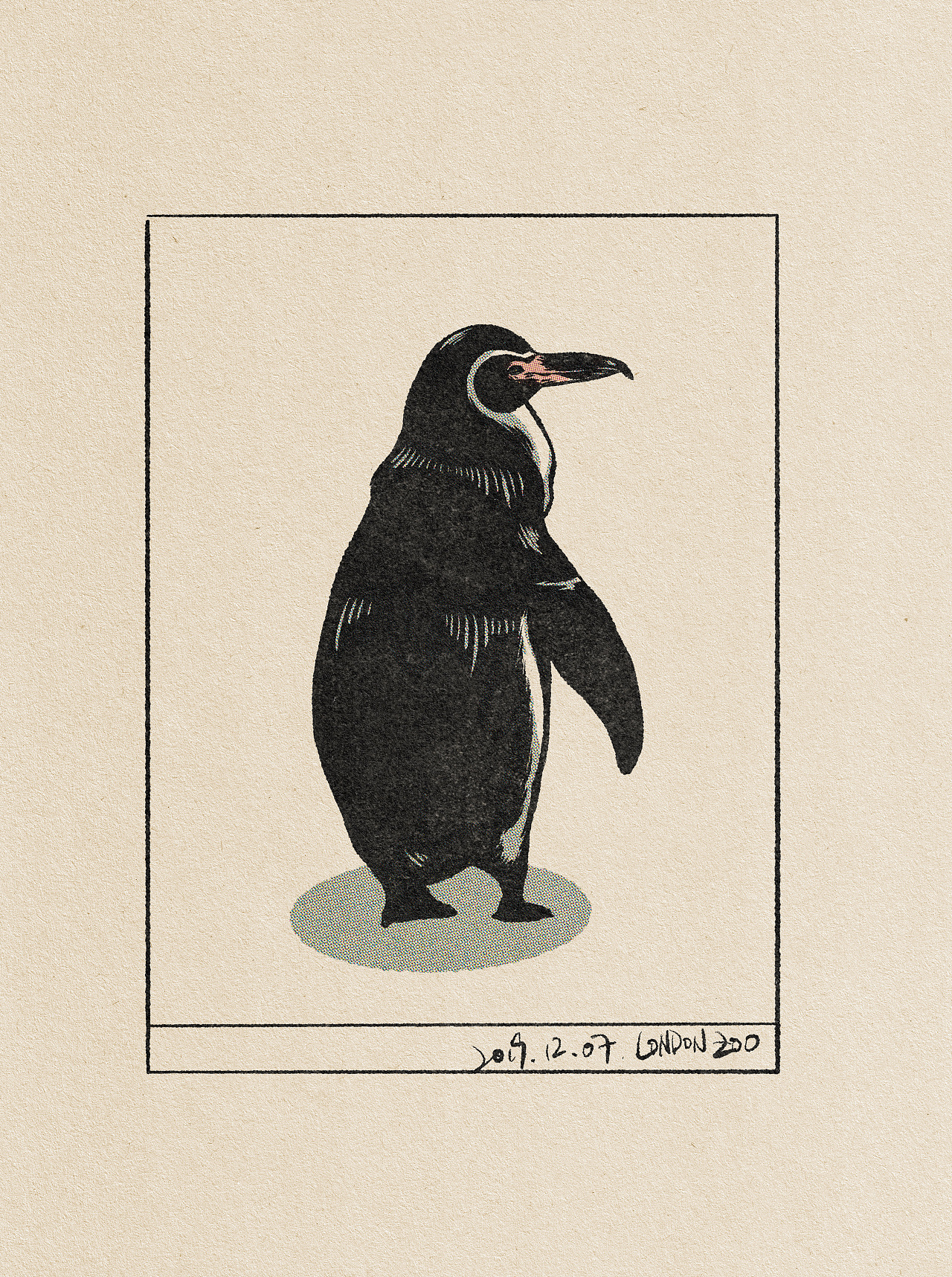 动物复古插画|插画|商业插画|firewincold - 原创作品 - 站酷 (zcool)