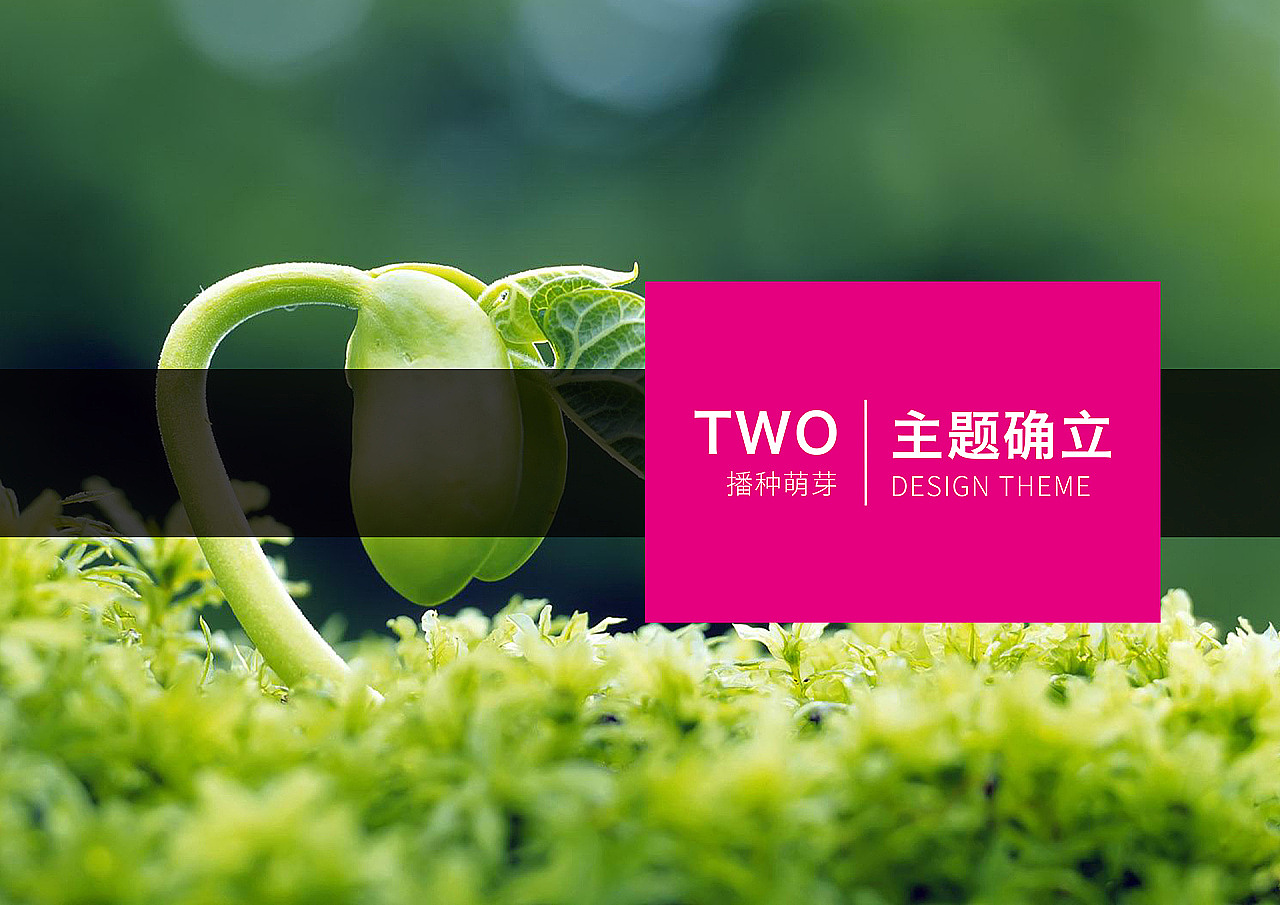 公园设计|主题公园设计|湿地公园设计|动物园设计