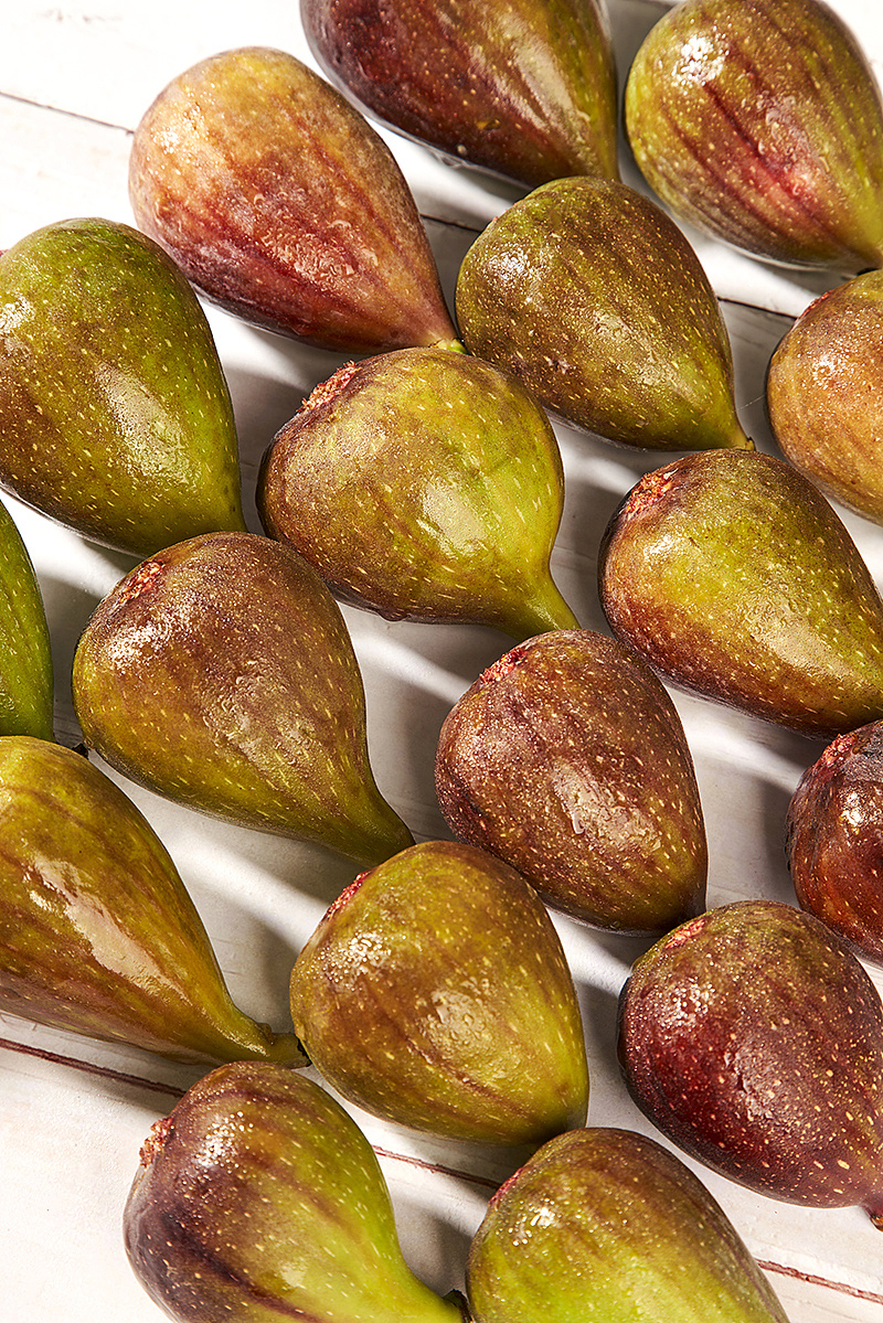 无花果(ficus carica linn.