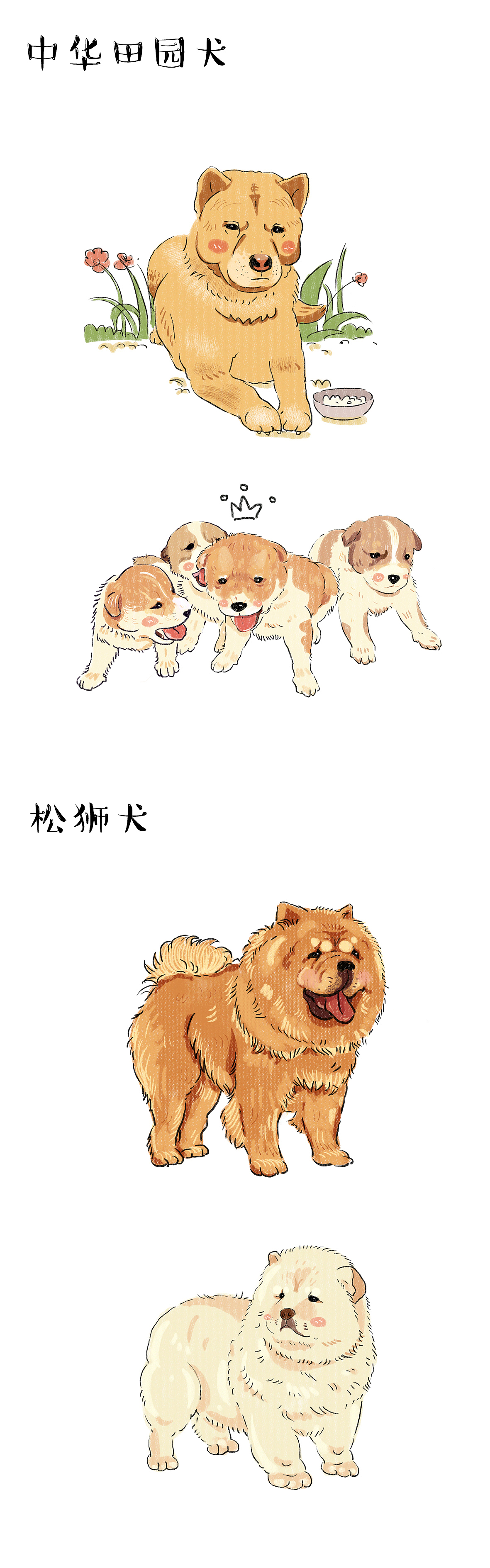 狗狗插画（图ZNzQ4MDUwNTY=） - 儿童插画 - 站酷设计师圆眼牛牛原创素材 - 站酷ZCOOL