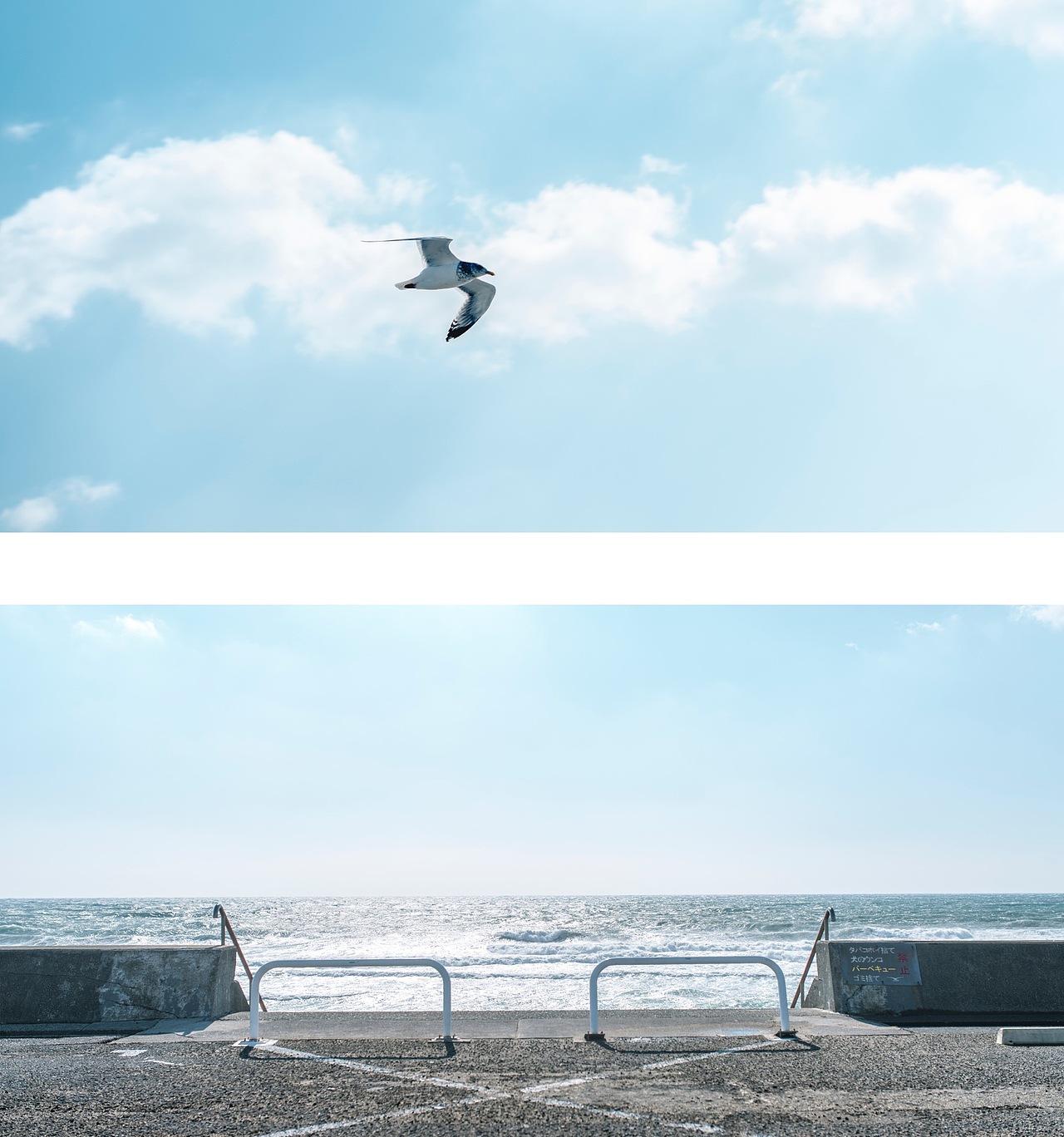 陪你到镰仓去看海