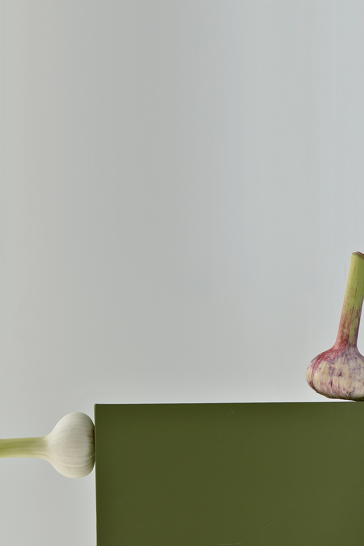 新蒜和郁金香瓜（图ZNzgxMTQ4Njg=） - 其他摄影 - 站酷设计师YUM汤汤原创素材 - 站酷ZCOOL