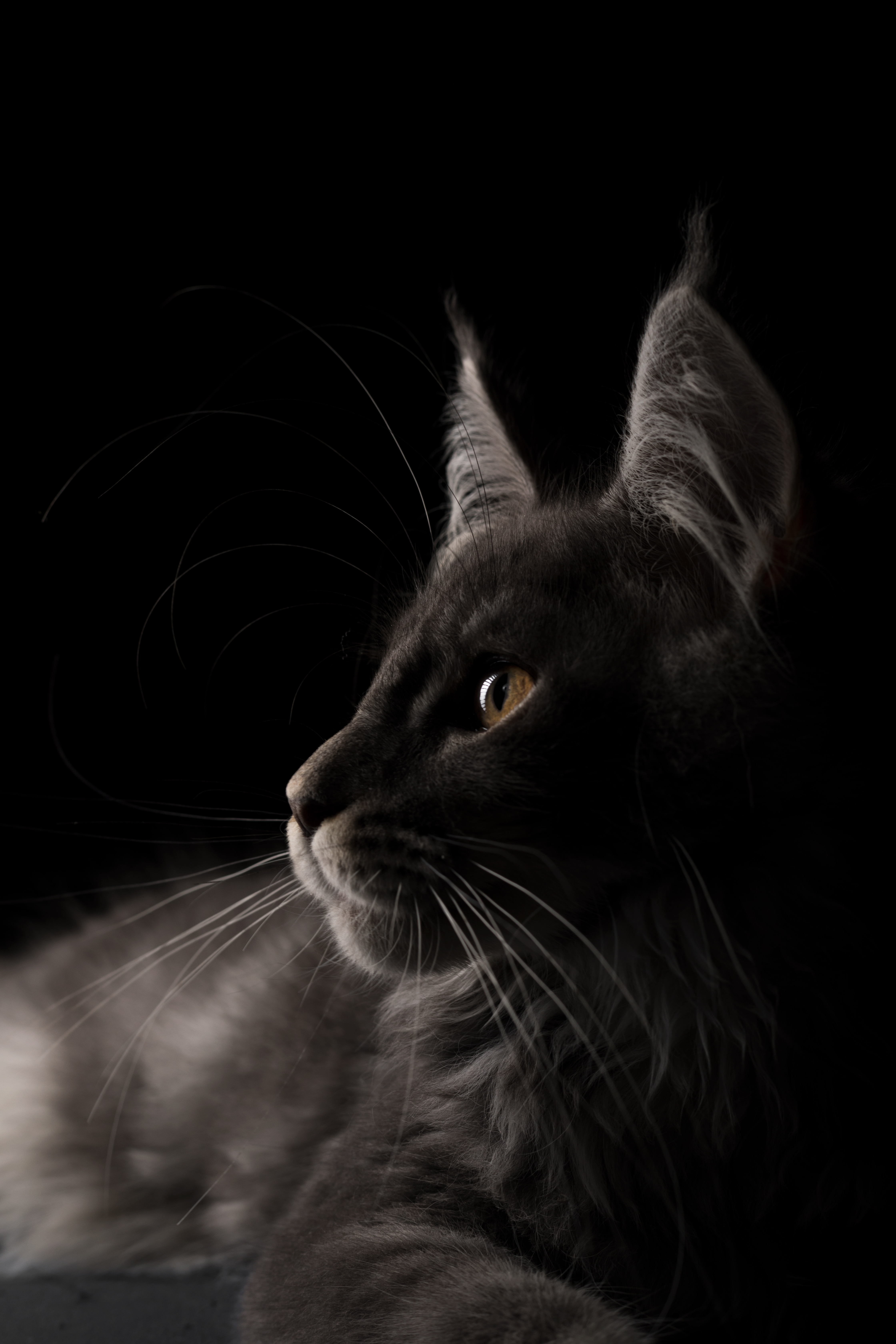 YBYDDD的個人主頁（封面預覽） - 主頁封面設置 - 站酷設計師YBYDDD原創(chuàng)素材 - 站酷ZCOOL