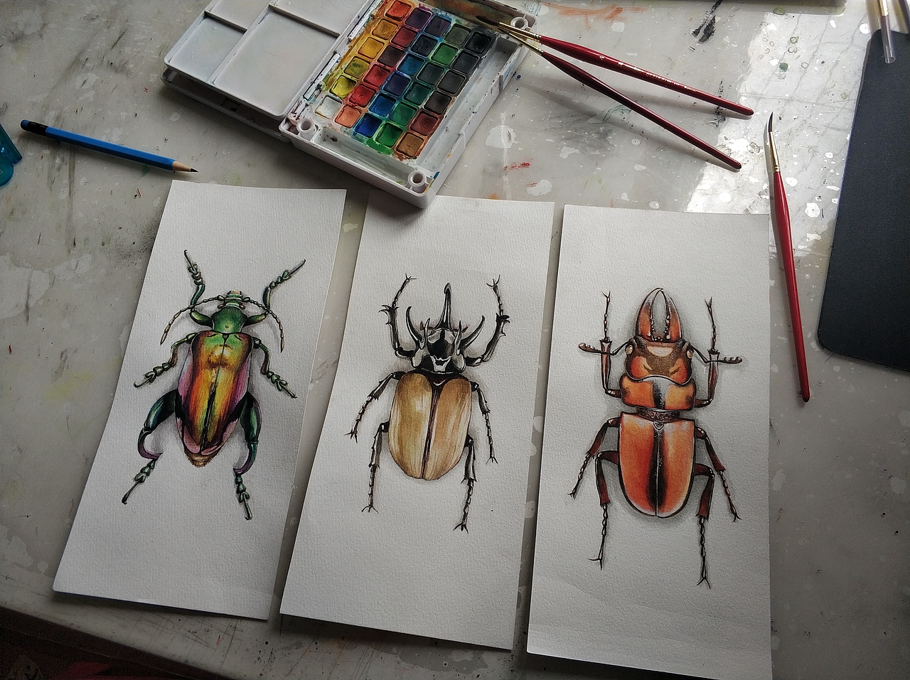 水彩甲虫（图ZMTIwMTY0NDgw） - 绘画 - 站酷设计师山马霖原创素材 - 站酷ZCOOL