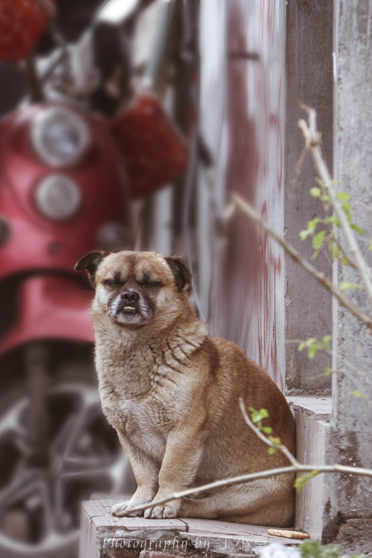 纪实摄影|扫街|废墟|上海弄堂|人间烟火气