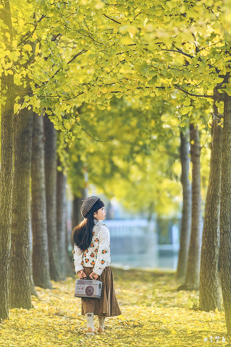 银杏树下