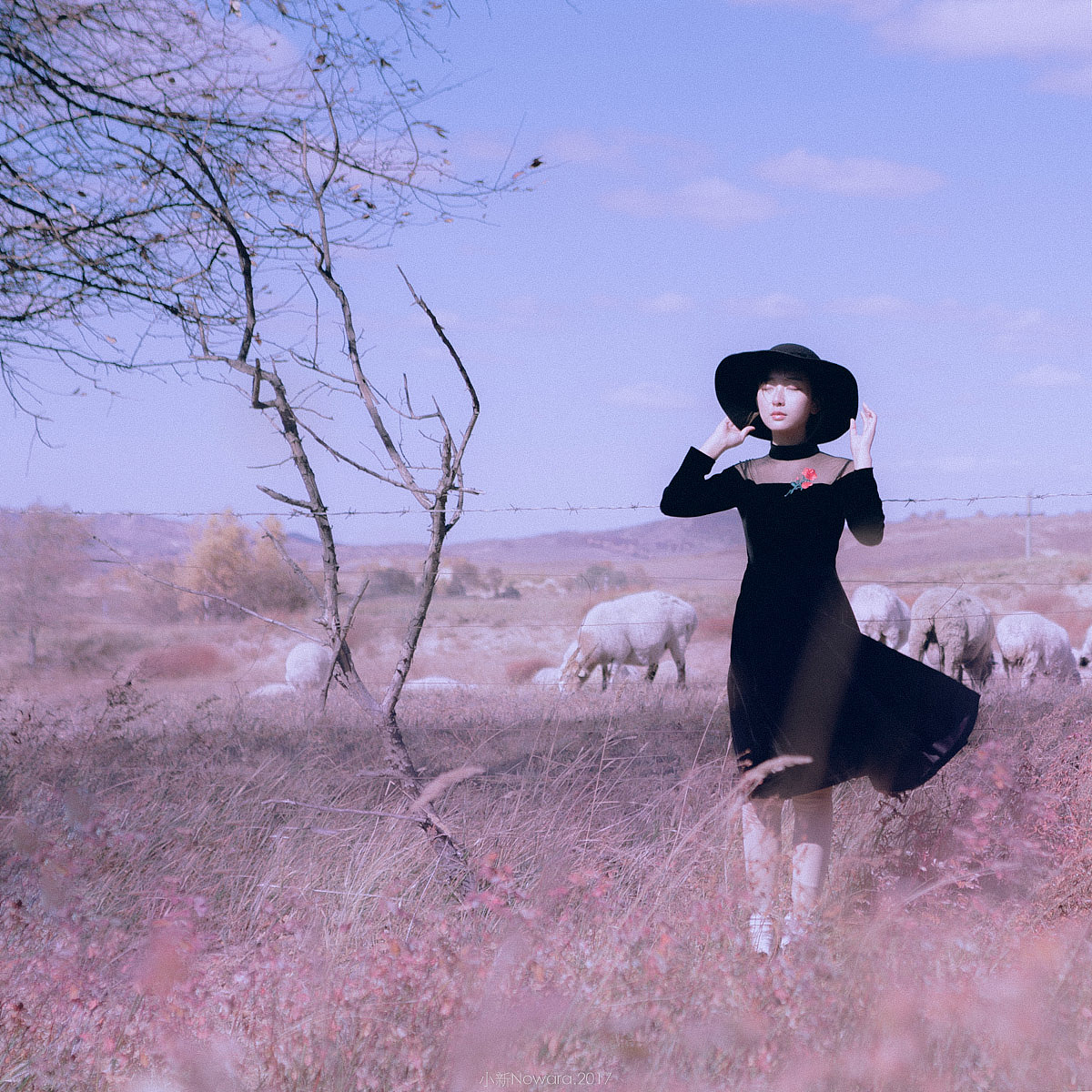 在那遥远的地方