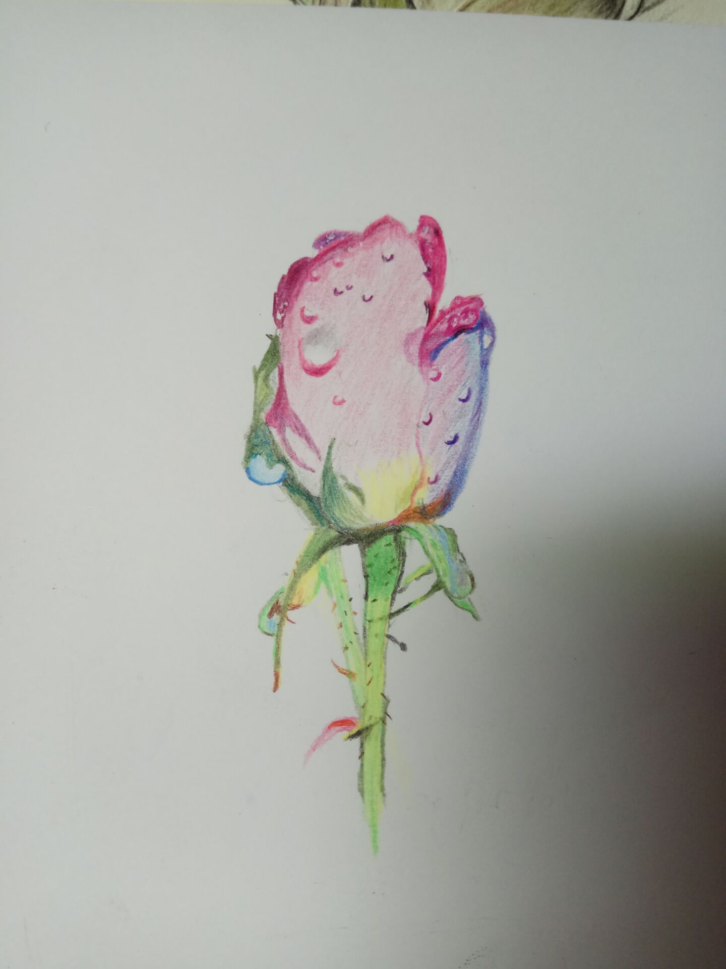 蜡烛1956的个人主页（背景预览） - 主页背景设置 - 站酷设计师蜡烛1956原创素材 - 站酷ZCOOL