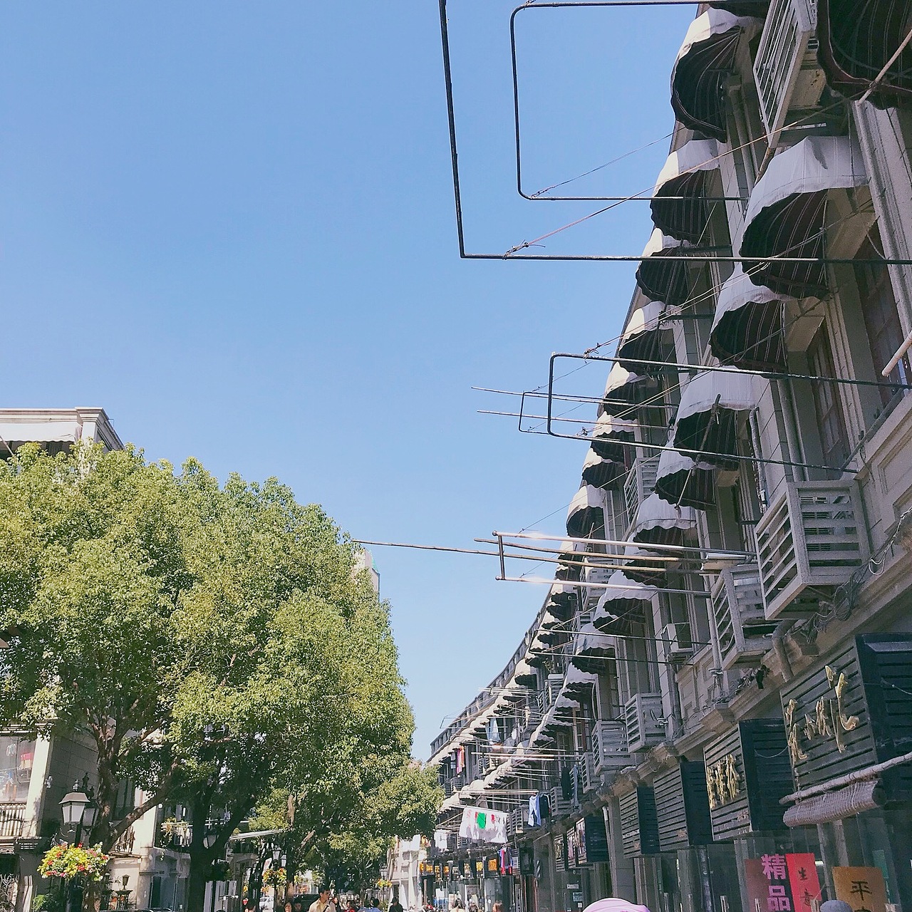 手机摄影 - 上海 - 风景 - 多伦路文化街