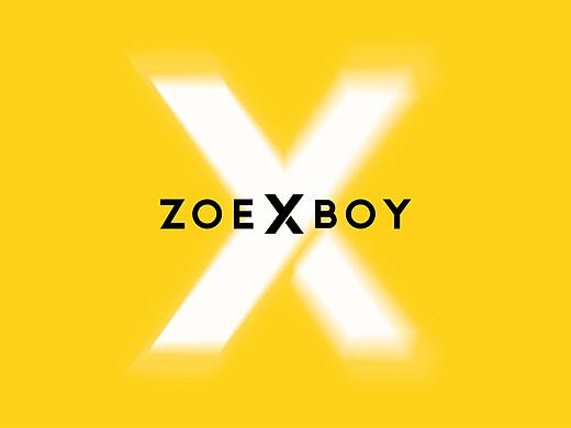 ZOEXBOY VIS