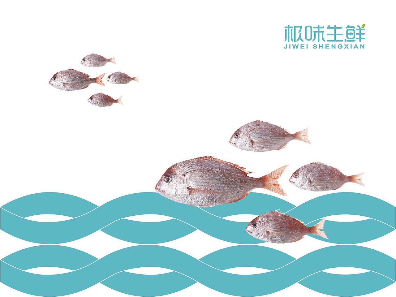 极味生鲜品牌视觉设计(图ZMTU5MDg2Mzk2) - 品牌 - 站酷设计师你好高兴原创素材 - 站酷ZCOOL