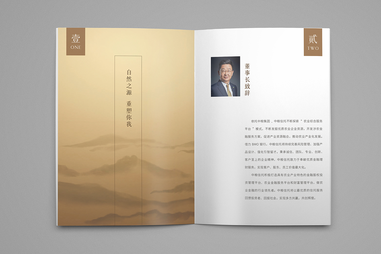 中粮信托画册