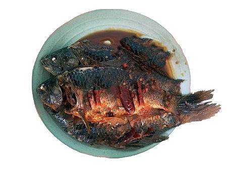 年年有‘魚’（個(gè)人主頁-ZNDI4ODM5OTI=） - 其他 - 站酷設(shè)計(jì)師Z09390694原創(chuàng)素材 - 站酷ZCOOL