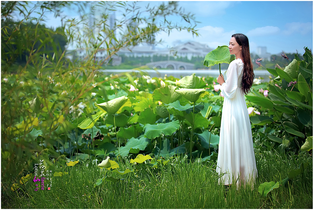 [荷花仙子]（圖ZMjk5OTE5NTI=） - 人像攝影 - 站酷設(shè)計師千百度vip原創(chuàng)素材 - 站酷ZCOOL