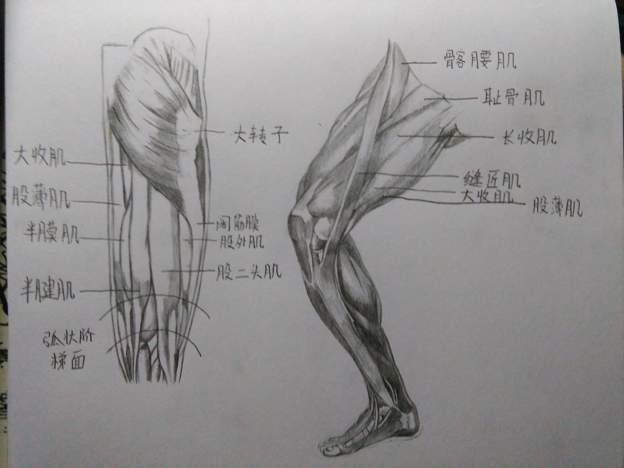 人頭插畫(huà)（圖ZMTQ0Mjk2NDUy） - 創(chuàng)作習(xí)作 - 站酷設(shè)計(jì)師緣泣腥蠛原創(chuàng)素材 - 站酷ZCOOL