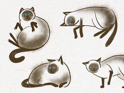 家里有个挖煤工-豆沙沙