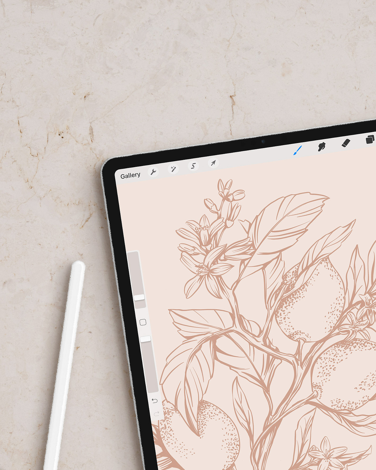 植物系书籍插画（图ZMjIwMzYyNDQ0） - 商业插画 - 站酷设计师Nora_inla原创素材 - 站酷ZCOOL