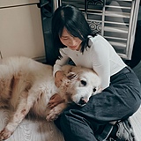 鱼视觉的头像