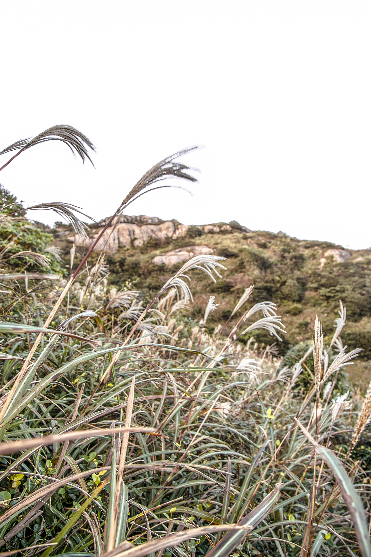 趁我们还年轻 | 东极岛篇（图ZNjU3NTE2MDA=） - 风光摄影 - 站酷设计师KimZheng原创素材 - 站酷ZCOOL