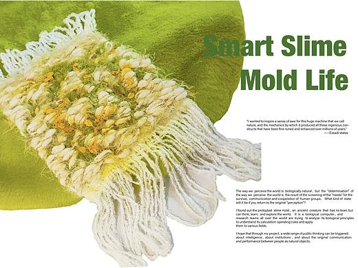 机智的菌类生活