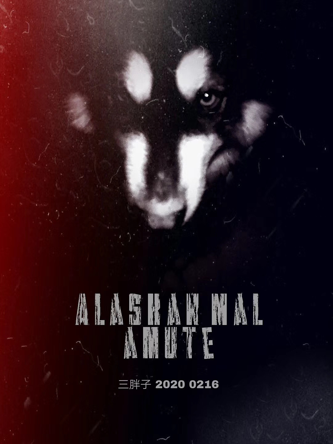 喜歡拿走（圖ZMjU1Nzg2NjIw） - 寵物攝影 - 站酷設(shè)計師藝者七叔原創(chuàng)素材 - 站酷ZCOOL