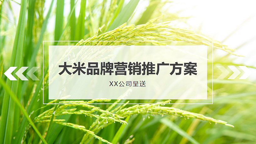 2022农业区域公用品牌大米品牌营销推广方案-72P