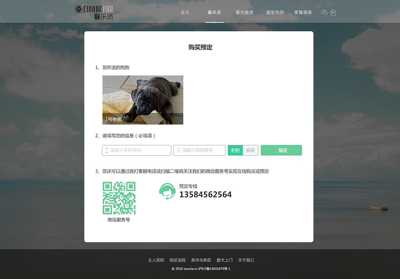 宠物网站—《馨乐派》狗狗俱乐部（图ZNDc3NTE0Njg=） - 门户网站 - 站酷设计师bing9118_白冰原创素材 - 站酷ZCOOL