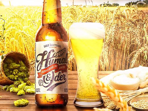 banner臨摹學習（個人主頁-ZMjc4Njk2ODQ=） - 海報 - 站酷設計師楠包子原創(chuàng)素材 - 站酷ZCOOL