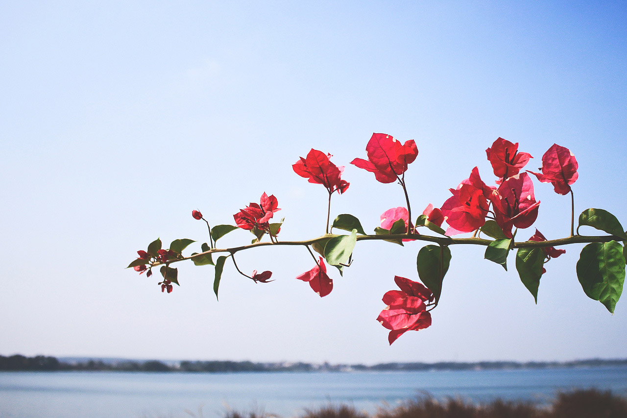 Tirri的个人主页（背景预览） - 主页背景设置 - 站酷设计师Tirri原创素材 - 站酷ZCOOL