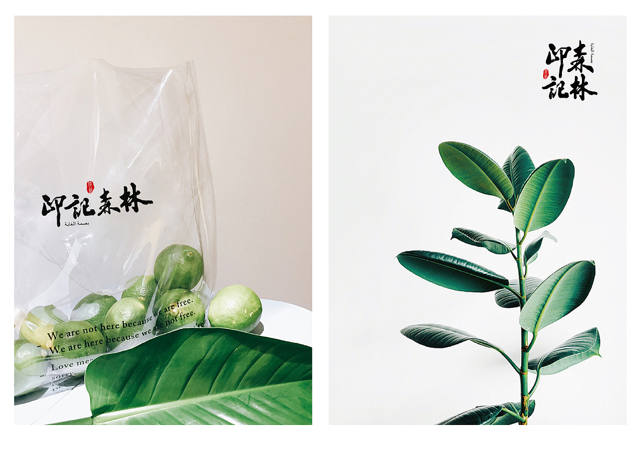 印记森林VIS品牌设计（图ZMjgyOTQ0NDgw） - 品牌 - 站酷设计师尚策品牌设计原创素材 - 站酷ZCOOL