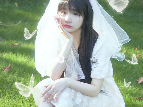 仙君又怎会爱一只小蝴蝶呢