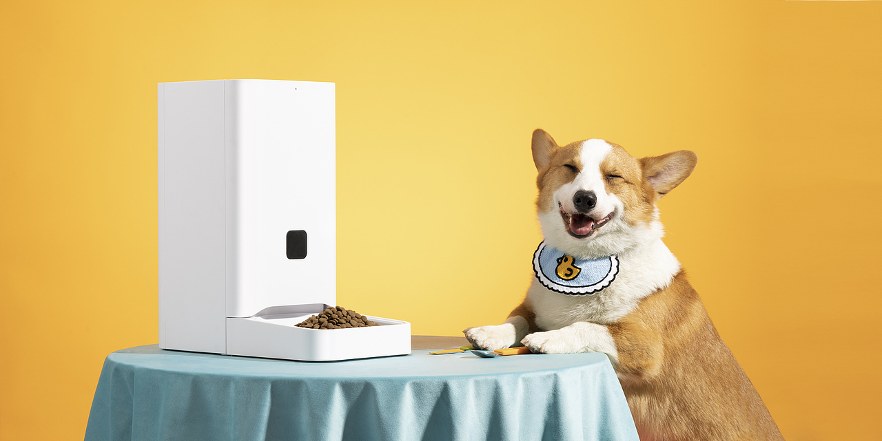 宠物喂食器拍摄