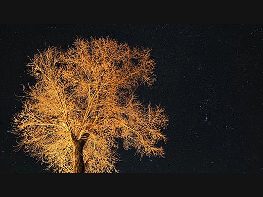 《浩瀚星河，我只是影》