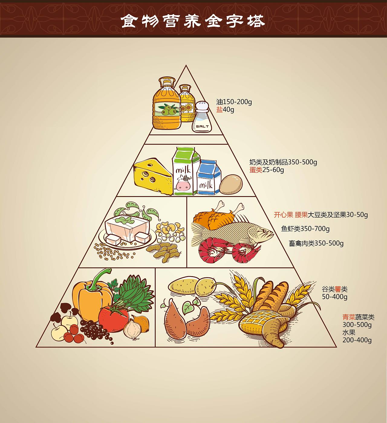 食物营养金字塔简笔画图片
