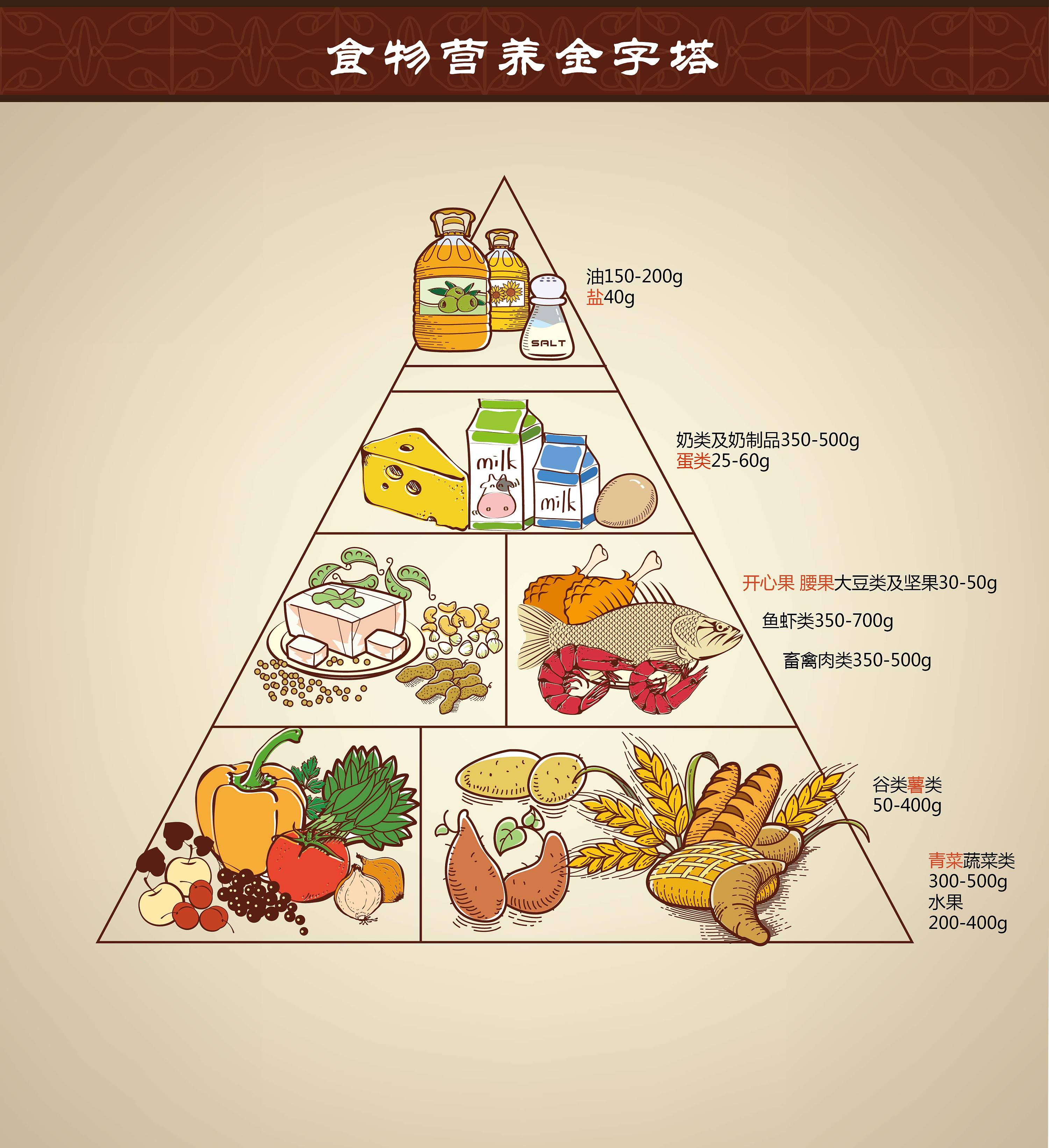 减肥食物金字塔图片