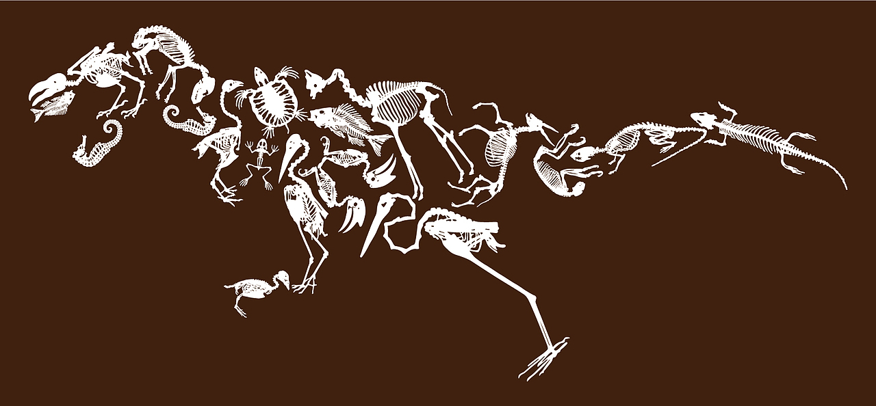 T恤图案（图ZMTI5MjY2NTYw） - 图案 - 站酷设计师kobe8336原创素材 - 站酷ZCOOL