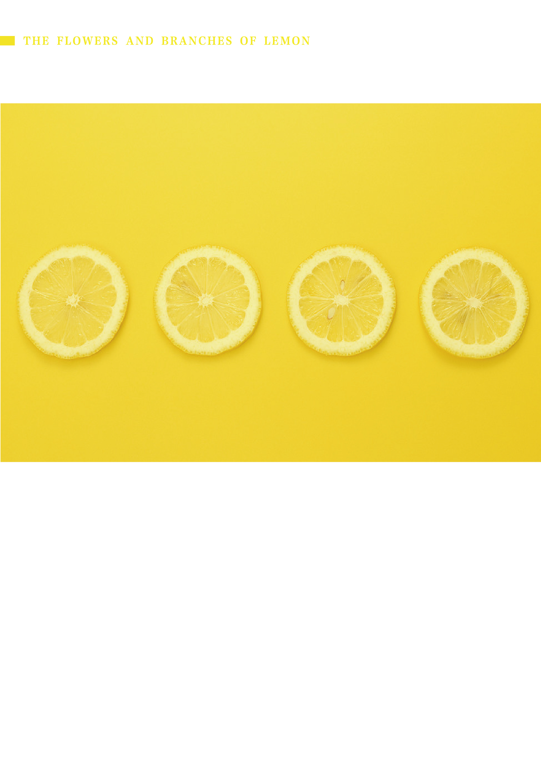 视觉-一颗柠檬画册排版书籍文字设计|平面|书装/画册|阿亦DayMoney - 原创作品 - 站酷 (ZCOOL)