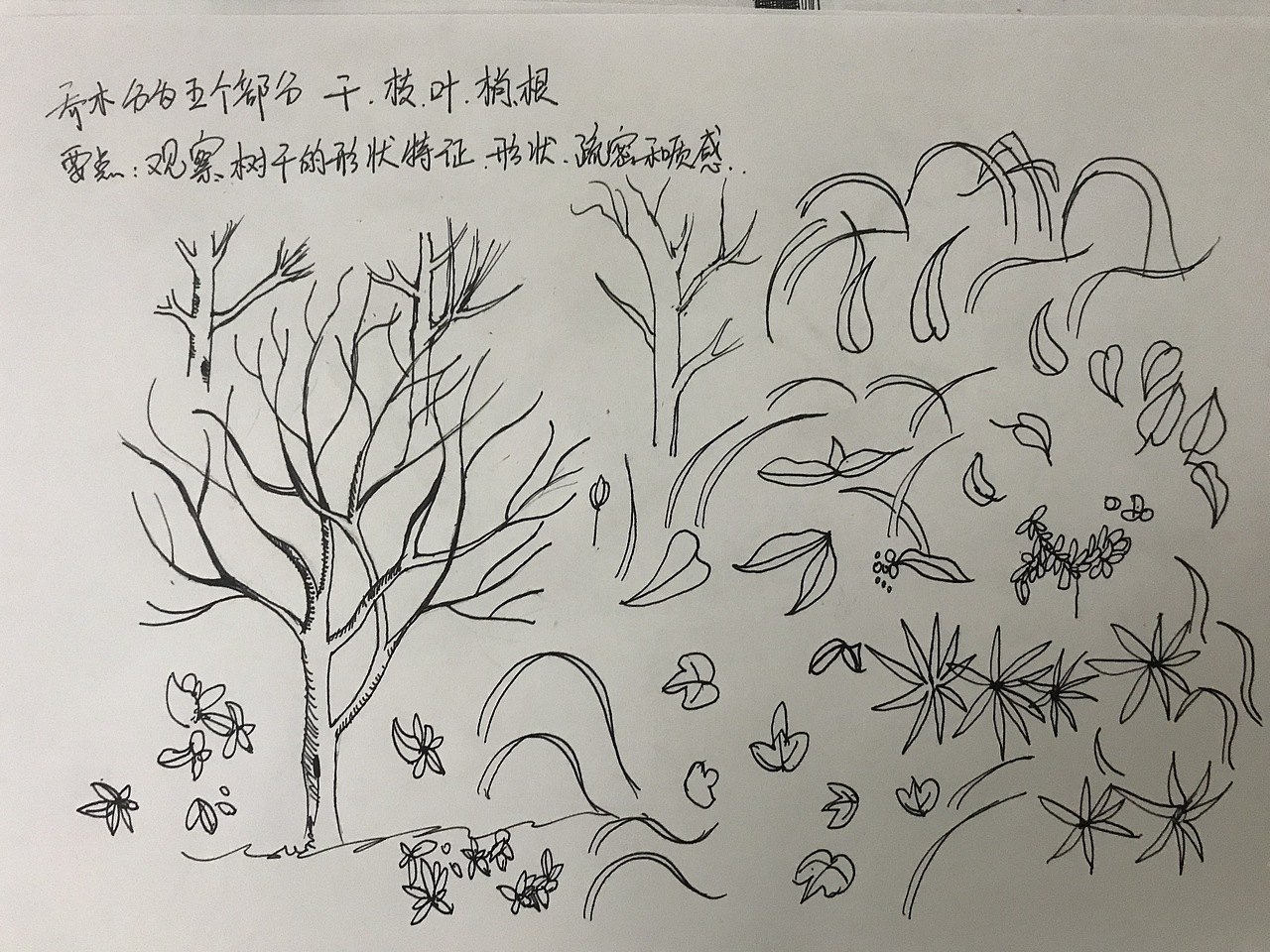 第九天练线计划