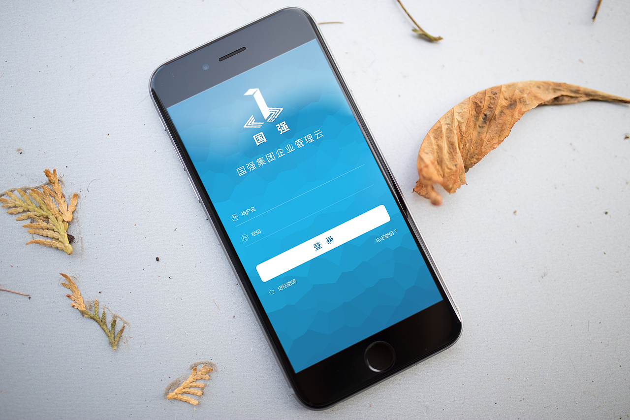 app 登录|ui|app界面|何珊瑚 - 原创作品 - 站酷 (zcool)
