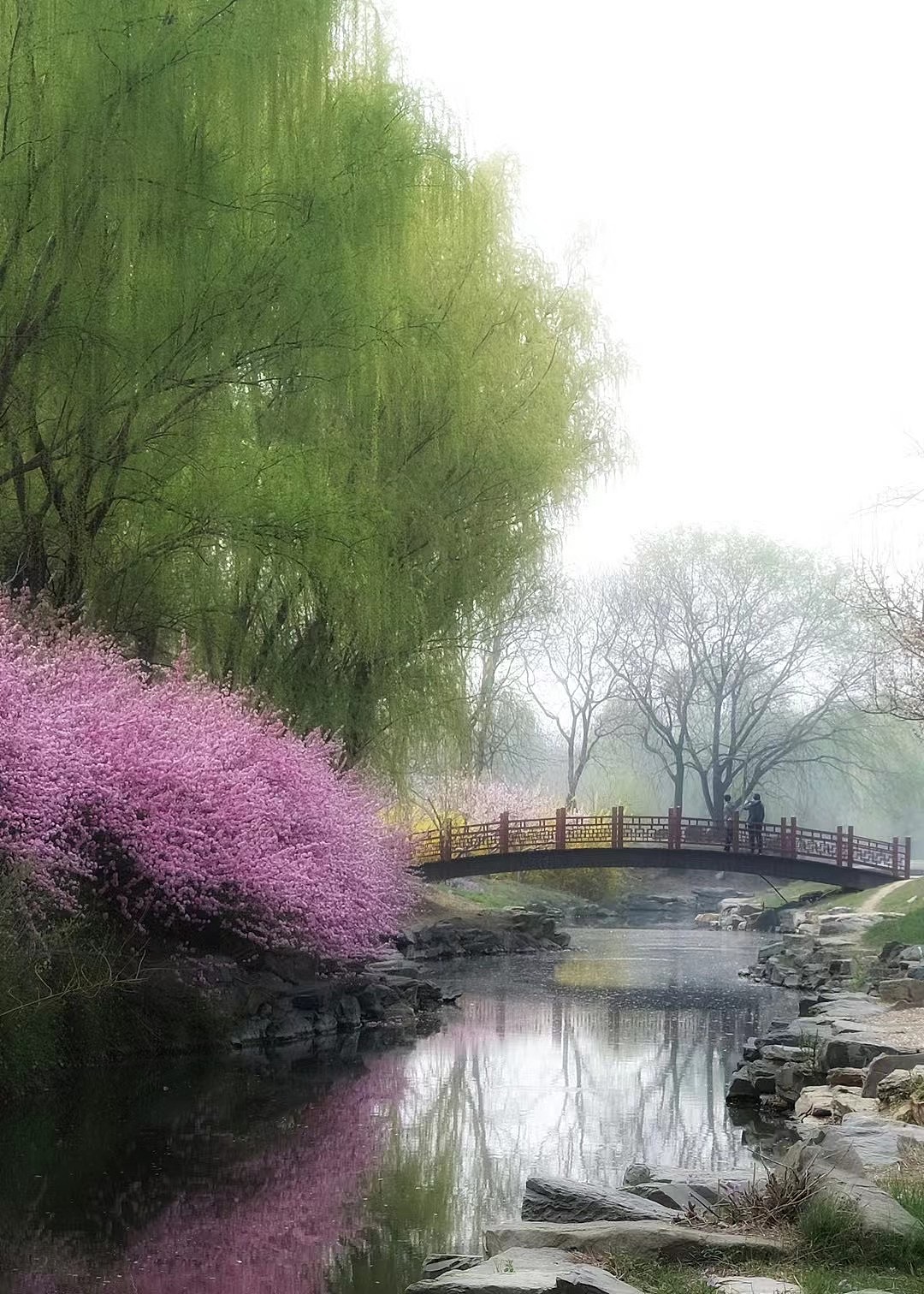 春夏秋冬 拍不完的圆明园