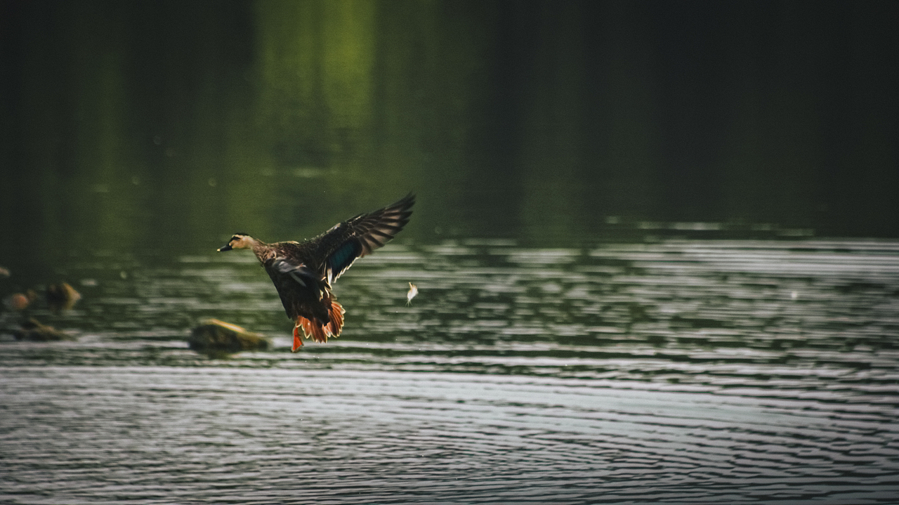 國慶節(jié)存在相機里的記憶（圖ZMjc0MDc1MTY4） - 環(huán)境/建筑攝影 - 站酷設計師是阿涵原創(chuàng)素材 - 站酷ZCOOL