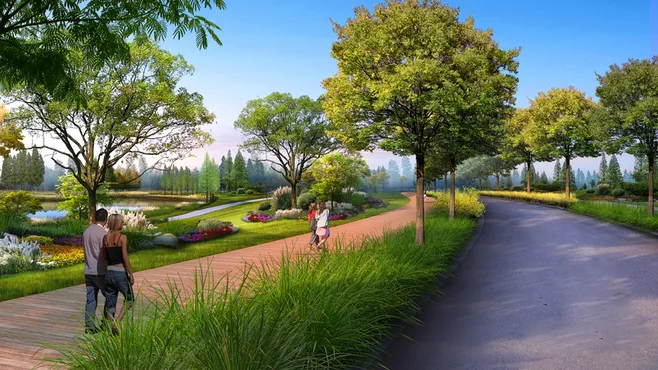 淄博效果图设计,淄博效果图制作,道路绿化效果图设计
