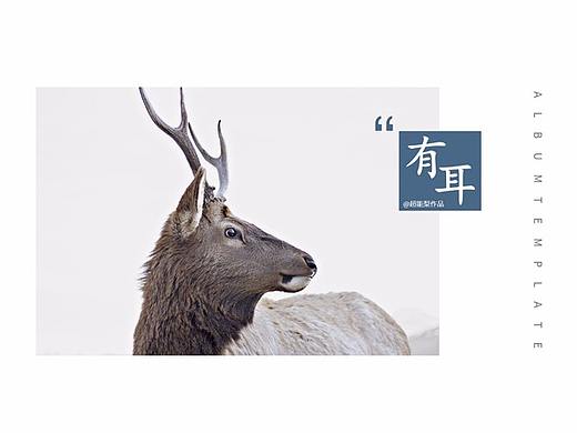 【有耳】画册风极简蓝灰系企业产品介绍通用PPT模板