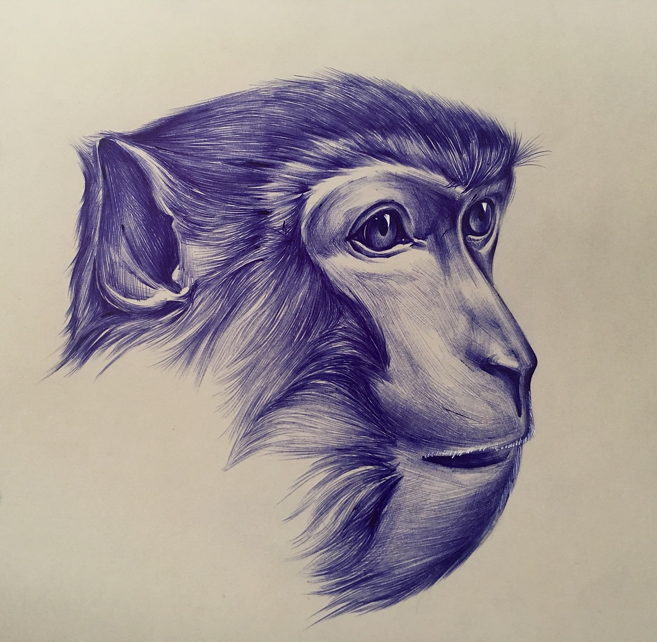 单色圆珠笔画系列