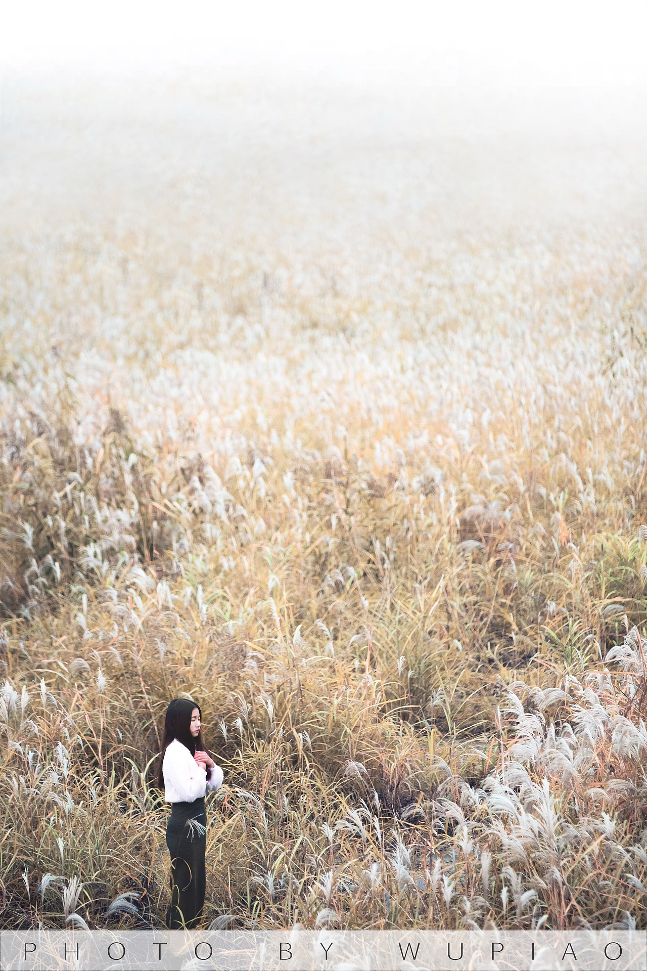 风车，芦苇（图ZMTU2ODA4Mjgw） - 人像摄影 - 站酷设计师摄影师吴飘原创素材 - 站酷ZCOOL